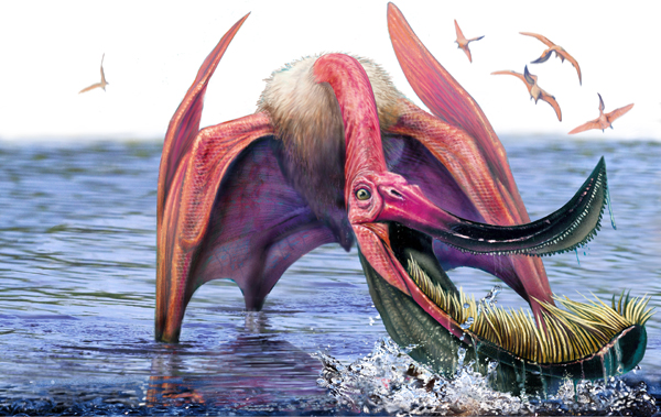 Satan S Flamingo Pterodaustro A Filter Feeding Pterosaur Flying Reptile That Occupied The Same Niche As Flamingos Naturewasmetal