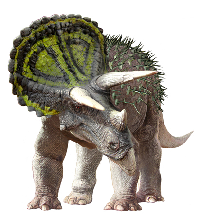 triceratopsb.jpg
