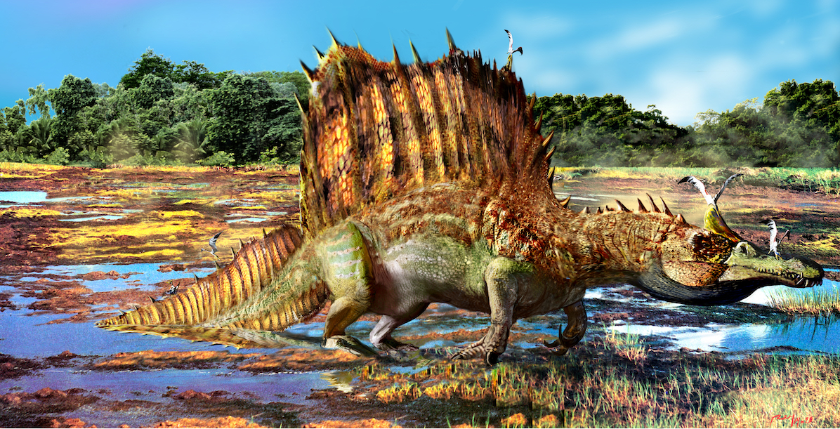 Spinosaurus SerenoEXTR copy 2